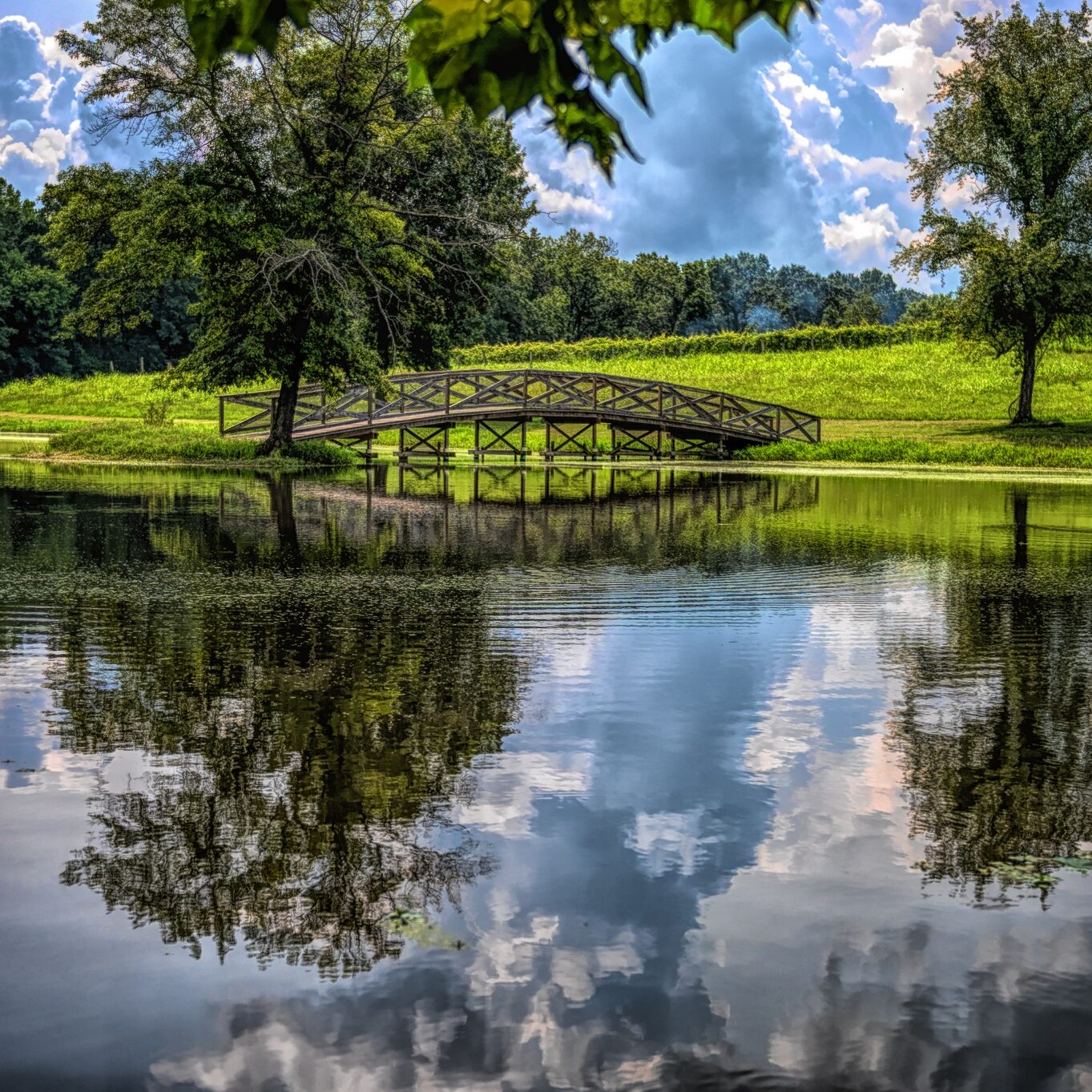 452957815_813921097388012_2509502845835444683_n - Villa Antonio Winery